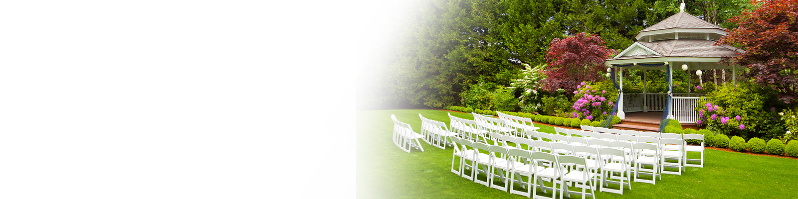 TULIP Event Liability